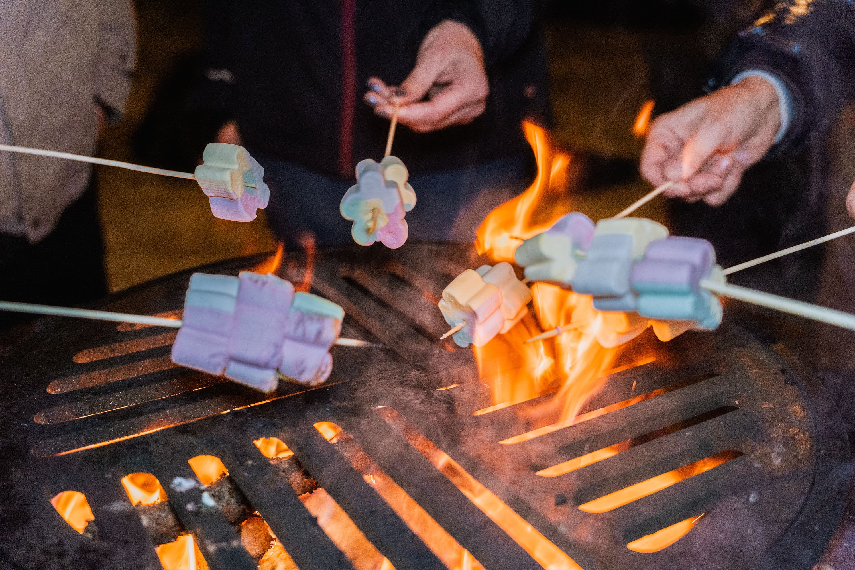 Spectacle culinaire brasero Grasgueule